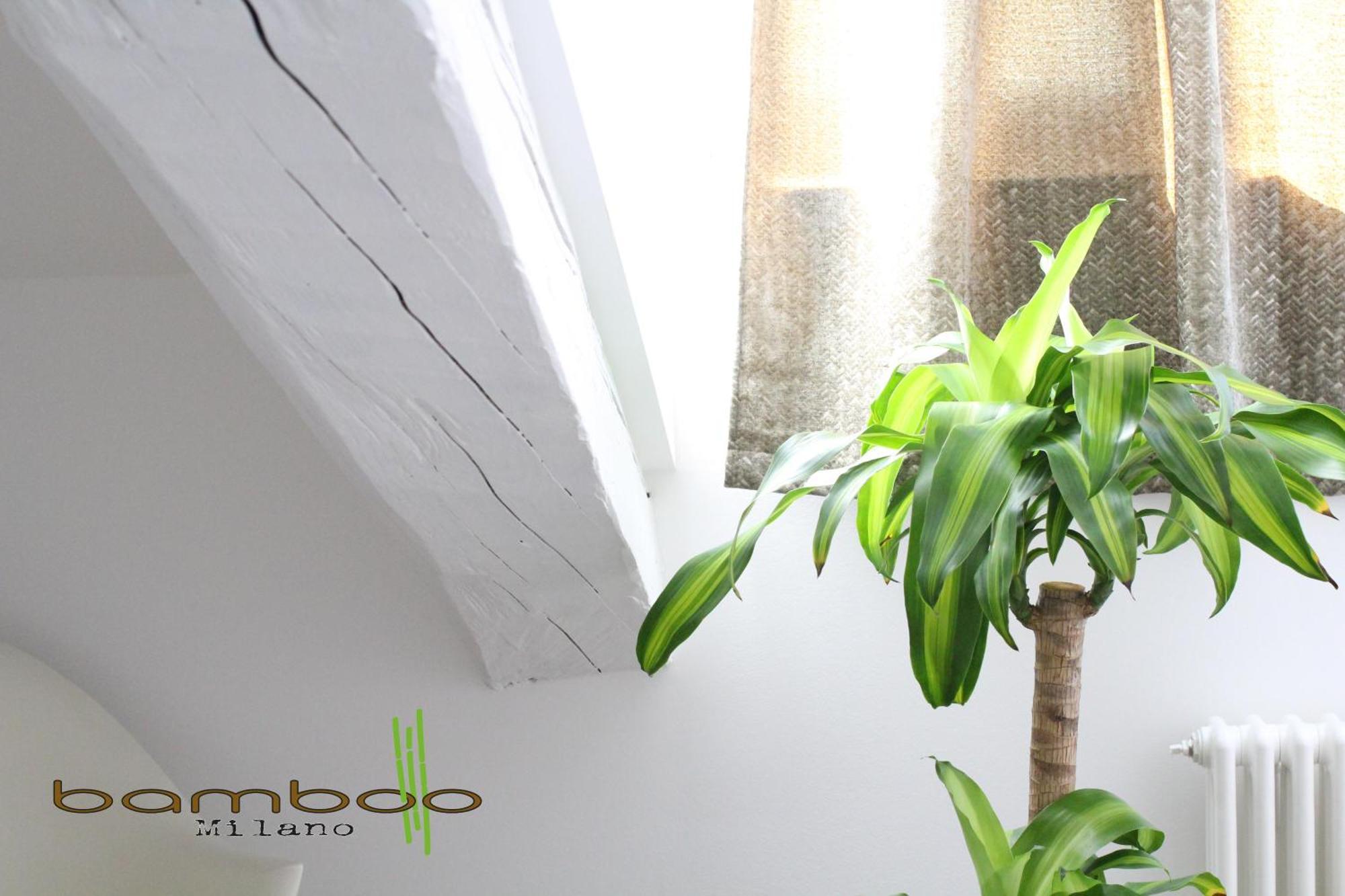 Bamboo Milano Isonzo Apartment Exterior photo